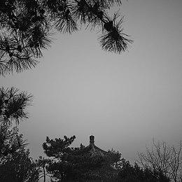 《女神异闻录４ Revival》PS Store、Steam页面上线 现可将本作添加至愿望单